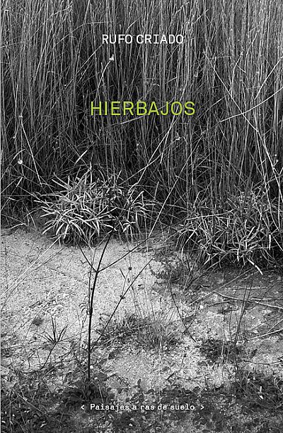 Hierbajos. Paisajes a ras de suelo 